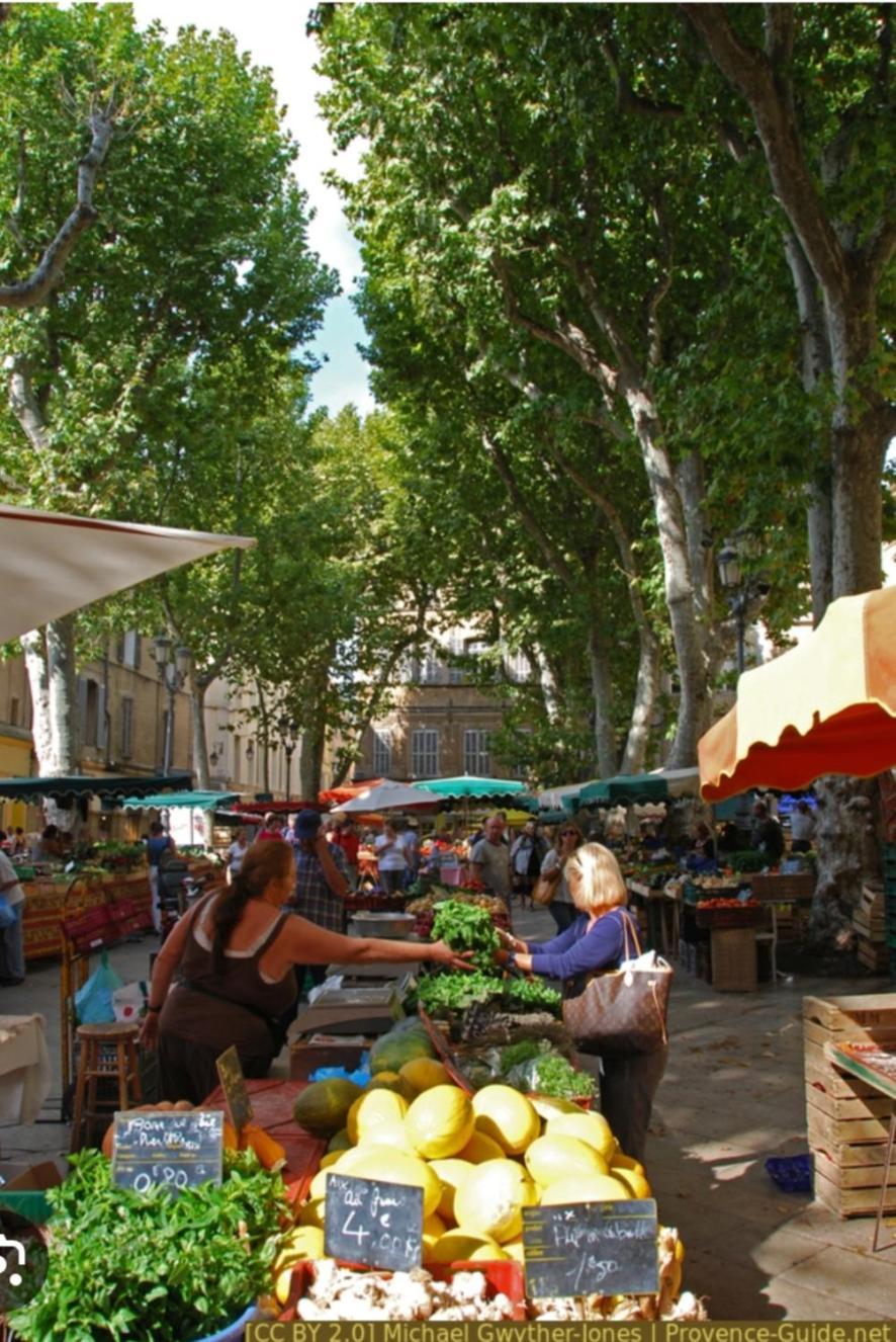 Superbe Appartement Avec Jardin Quart Mazarin Aix-en-Provence Exteriér fotografie